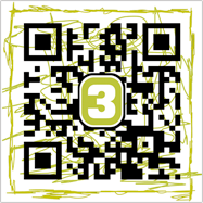 QR-Code-Branding